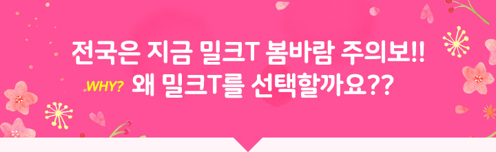 전국은 지금 밀크T 봄바람 주의보! 왜 밀크T를 선택할까요?