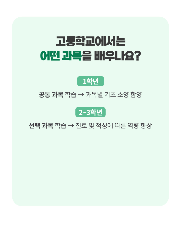 고등학교에서는 어떤 과목을 배우나요?