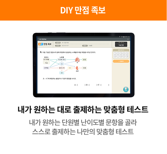 DIY 만점 족보