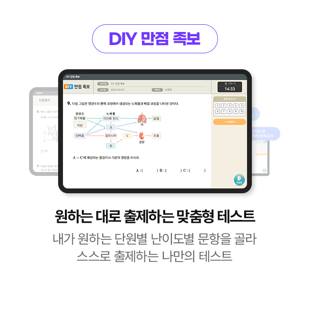 DIY 만점 족보: 원하는 대로 출제하는 맞춤형 테스트 - 내가 원하는 단원별 난이도별 문항을 골라 스스로 출제하는 나만의 테스트