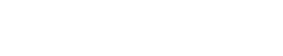 전략 설명회