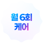 월 6회 케어
