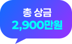 총 상금 2,900만원