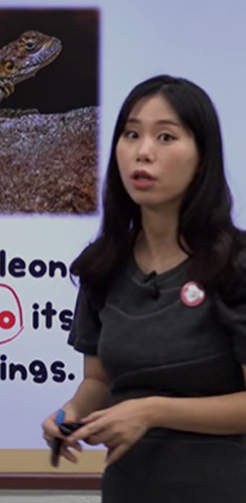 1분뚝딱 맛보기 강좌 보기