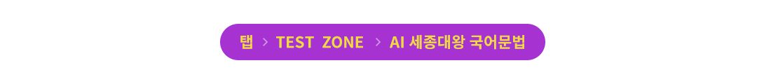 AI 세종대왕 국어문법은 탭 > TEST ZONE > AI 세종대왕 국어문법에서 학습할 수 있습니다.