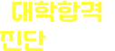 대학합격 진단서비스
