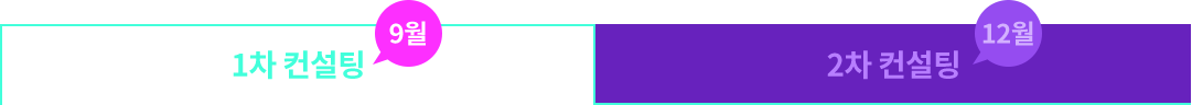 1차 컨설팅