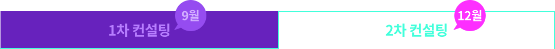 2차 컨설팅
