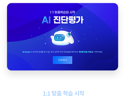 AI 진단평가 1:1 맞춤 학습 시작