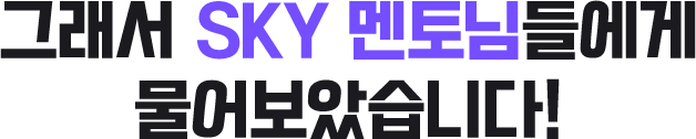 그래서 sky 멘토님들에게 물어보았습니다.