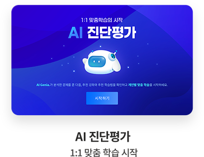 AI 진단평가 1:1 맞춤 학습 시작