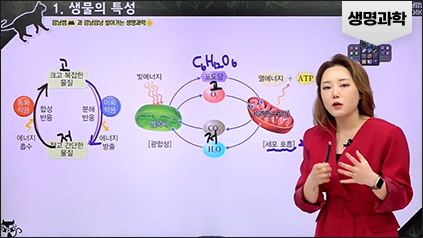 하이탑(High Top)과학: 박소영강의