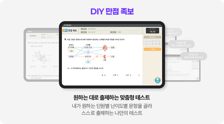 DIY 만점 족보
